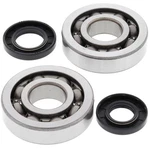 Balls Crank Shaft Bearings 24-1047 Kawasaki KX250 02-07. Fixed Price $81.86.