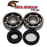 Balls Crank Bearing And Seal Kit For 1988-2005 Kawasaki KX125 Engine Up. Fixed Price $85.38.