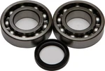 Balls 24-1081 Crank Bearing And Seal Kit. Fixed Price $57.79.