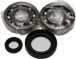 Balls 24-1004 Crank Bearing And Seal Kit. Fixed Price $86.45.