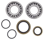 Balls 24-1128 Crankshaft Bearing & Seal Kit. Fixed Price $111.46.