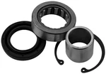 Balls Inner Primary Bearing And 49-7983 22-53103 AB25-3103 132574. Fixed Price $55.41.