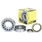 Pro X Crankshaft Bearing And Seal Kit 23.CBS63004. Fixed Price $120.99.