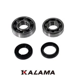 Nachi Main Bearing & Oil Seal Kit For Yamaha Blaster 1988 2006. Fixed Price $39.95.