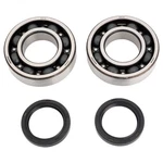 Pro X Crankshaft Bearing And Seal Kit. Fixed Price $99.37.