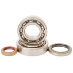 2003-2014 Ktm 250 Sx Dirt Bike Hot Rods Main Bearing And Seal Kit. Fixed Price $106.36.