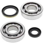 New Balls Racing Crank Bearing And Seal Kit 24-1020 For Suzuki Rm 250 94 95. Fixed Price $110.96.