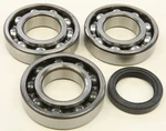Balls Crankshaft Bearing Kit 24-41089 AB24-1089. Fixed Price $68.73.