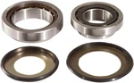 Pivot Works Steering Stem Bearing Kit PWSSK-H19-000. Fixed Price $74.66.