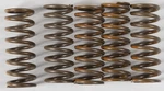 Hinson Racing High Temp Clutch Springs Pack Kawasaki KX450F CS264-5-0409. Fixed Price $63.59.