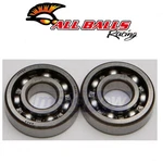 Balls Crank Bearing And Seal Kit For 1987-1988 Kawasaki KLF110 Mojave Xf. Fixed Price $39.11.