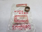 Kawasaki G31M Big End Needle Bearing 13034-025. Fixed Price $20.47.