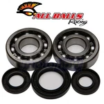 Balls Crank Bearing And Seal Kit For 1998-2000 Yamaha YZ250 Engine Qc. Fixed Price $95.76.