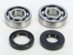 Pro-x 23.CBS21093 Yamaha YZ80 YZ85 1993-2018 Crankshaft Bearing And Seal Kit. Fixed Price $36.97.
