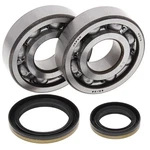 Balls 24-1021 Crank Bearing And Seal Kit For Suzuki RM250 96-02. Fixed Price $104.95.