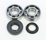 Balls 24-1083 Crankshaft Bearing And Seal Kit. Fixed Price $62.46.