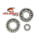 Balls 24-1080 Crankshaft Bearing & Seal Kit For 1998-02 Suzuki LT-F500F. Fixed Price $95.45.