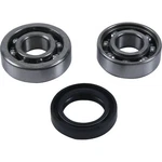 Hot Rods Counter Balancer Bearing Kit BBK0029. Fixed Price $24.65.