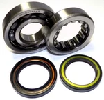 Main Bearing & Seal Kit Honda 450 Crf 02-18. Fixed Price $182.95.
