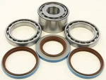 Balls 25-2098 Differential Bearing And Seal Kit Rear. Fixed Price $136.83.
