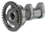 Hot 2067-2IN Stage Intake Camshaft. Fixed Price $265.46.