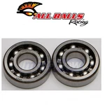 Balls Crank Bearing And Seal Kit For 1993-2006 Honda TRX90 Sportrax De. Fixed Price $38.30.