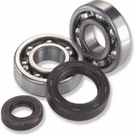 Moose Racing Crank Bearing And Seal Kit For 2008-2009 Ktm 525 Xc Atv. Fixed Price $185.95.