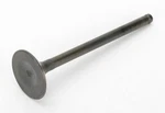 Vesrah Exhaust Valve For 1987-1999 Yamaha YFM350FW Big Bear 4X4 Atv. Fixed Price $21.00.