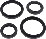 Balls 25-2050-5 Differential Seal Kit. Fixed Price $26.29.