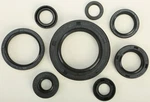 Vertex 822110 Oil Seal Set. Fixed Price $32.51.