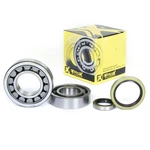 Pro X 23.CBS63004 Crankshaft Bearing And Seal Kit. Fixed Price $133.95.