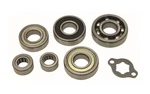 Hot Rods Counter Balancer Bearing Kit 421-HR0138 872494 HDSHR00138. Fixed Price $27.81.