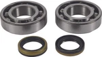 Balls Crankshaft Bearing & Seal Kit 24-1122. Fixed Price $60.77.