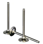 Wiseco VIT039 Premium Titanium Intake Valve. Fixed Price $86.49.