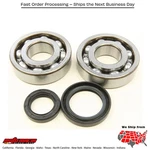 Balls Crankshaft Bearing/seal Kit Suzuki LT500R Quadracer 1987-1990. Fixed Price $129.70.