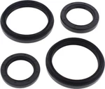 Balls 25-2050-5 Differential Seal Kit. Fixed Price $26.63.
