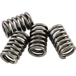 Ebc CSK40 Series Clutch Kit - Springs Set. Fixed Price $16.25.