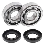 Balls Racing Crank Bearing And Seal Kit For Kawasaki Kxf 250 Tecate 4 87 88. Fixed Price $118.48.
