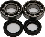 Balls 24-1074 Crankshaft Bearing And Seal Kit. Fixed Price $59.58.