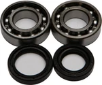 Balls 24-1074 Crank Bearing And Seal Kit. Fixed Price $59.58.