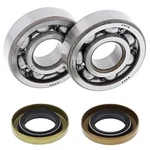 Balls Racing Crank Bearing And Seal Kit 24-1102 For Husqvarna 65 12 New. Fixed Price $77.33.