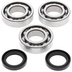 Balls Crank Shaft Bearing Kit #24-1077 Polaris. Fixed Price $102.36.