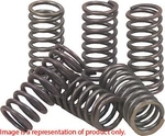 Ebc Clutch Springs Kit CSK164 Fits Honda / Suzuki (see Description For Fitment). Fixed Price $22.64.