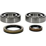 Balls Crankshaft Bearing & Seal Kit 24-1129. Fixed Price $77.78.