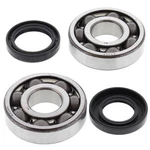Main Crank Shaft Bearing Seal For Yamaha WR200 24-1065B Boss. Fixed Price $127.28.