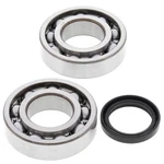 Crank Shaft Bearing And Seal Kit For Suzuki RMZ250 2004-2006. Fixed Price $54.22.