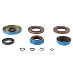 Balls 25-2126-5 Trans Axle Seal Kit. Fixed Price $99.86.