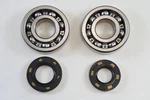 Kawasaki KX250 80-86 KDX250 81-84 Main Bearing Kit 92045-1024 92049-1052. Fixed Price $47.95.