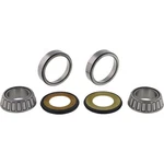 Balls 22-1021 Steering Stem Bearing Seal Kit For Honda FMX650 (euro) 05-06. Fixed Price $48.85.