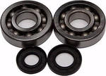 New Balls 24-1006 Crank Bearing And Seal Kit Kawasaki Kx 60 65 80 85 Rm. Fixed Price $63.05.